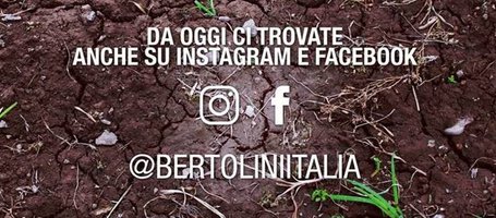 Da oggi anche su Instagram e Facebook!