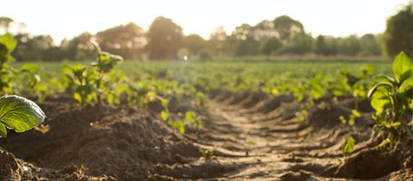 Il motocoltivatore è il futuro delle aziende agricole